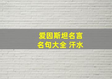 爱因斯坦名言名句大全 汗水